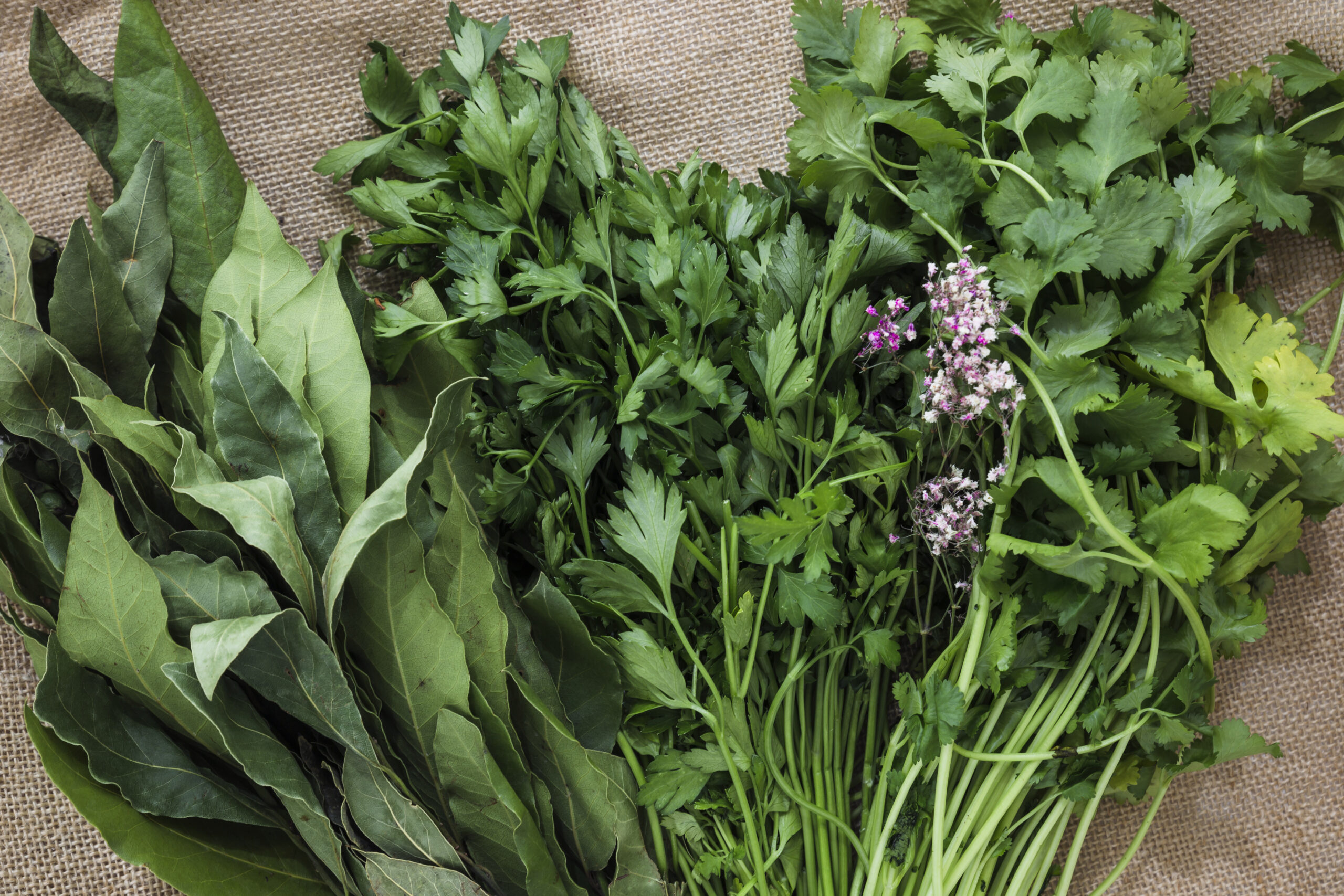 Sonali-Herbs
